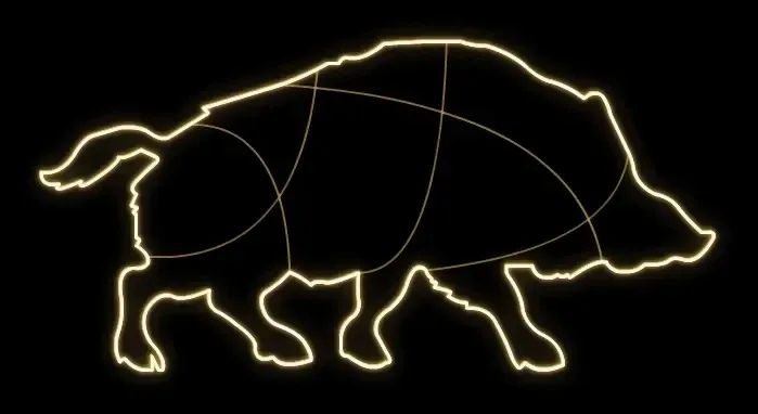 2D LED světelný divočák, 240 x 120 x 60 cm, teple bílá, 230V,23,6W, 5kg, 2 díly, stojící