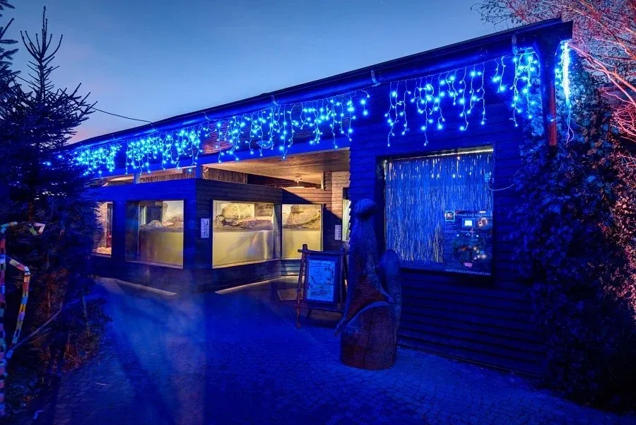 17173_ILN0305B