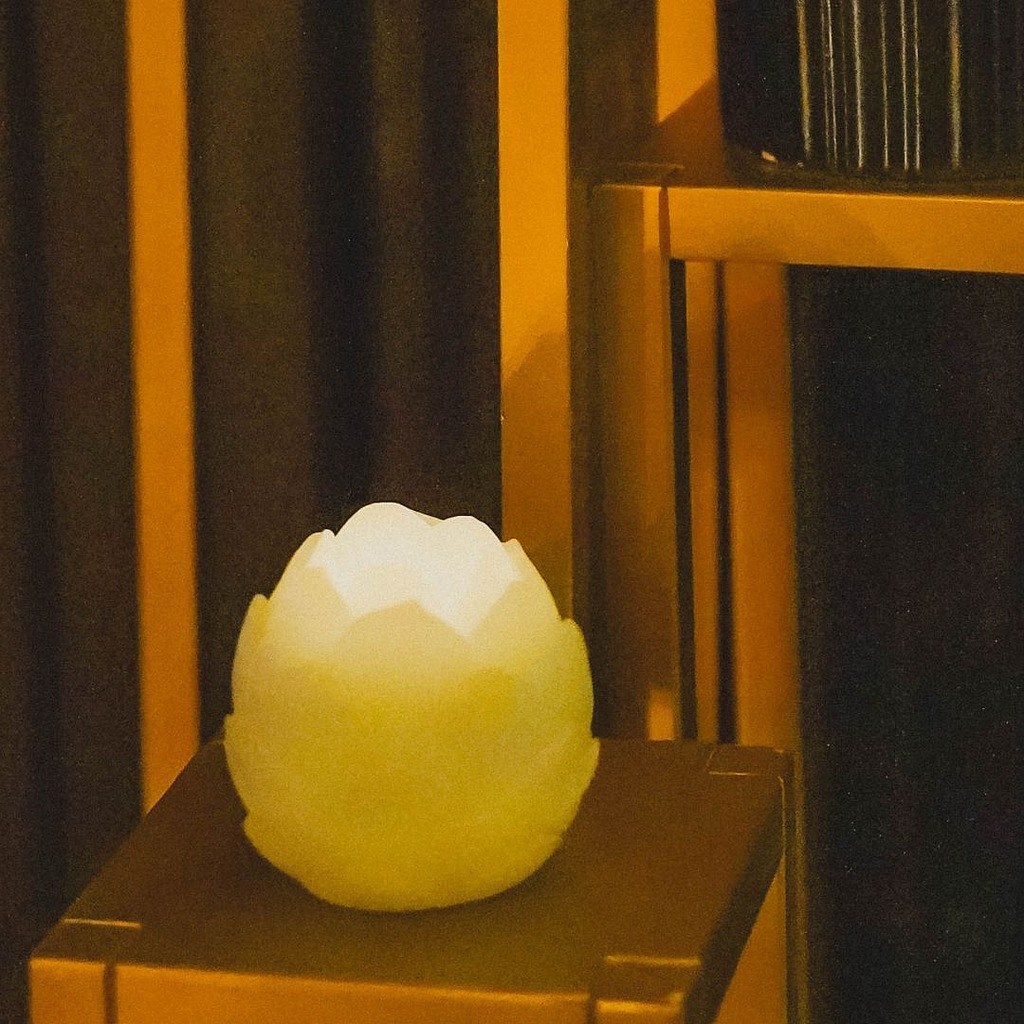 7 (kopie)_l