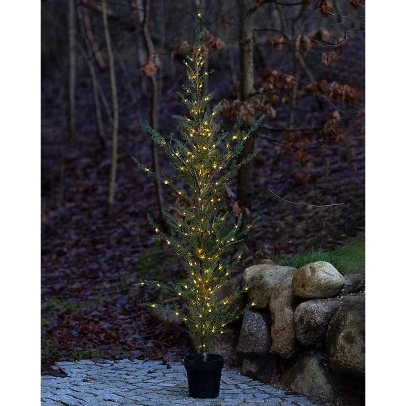Arbre à lumière LED dans un pot Cèdre, 190 cm