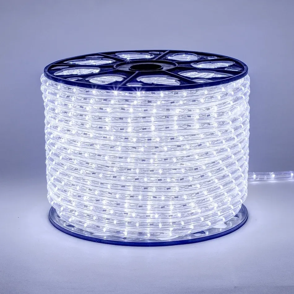 Guirlande lumineuse LED d'extérieur Easy Fix, 100 m, blanc glacé, câble transparent, IP44, bobine