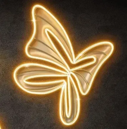 Papillon lumineux 3D LED, 120 x 120 cm, avec plexi