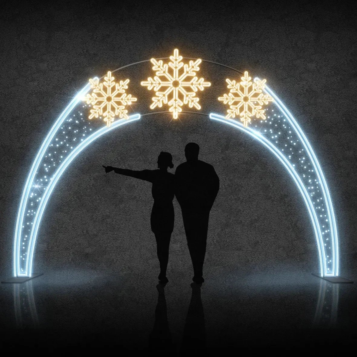 Easy Fix Portail lumineux 2D LED 3 paillettes DZ105W, debout, 440 × 340 cm, blanc glacé et blanc chaud, aluminium