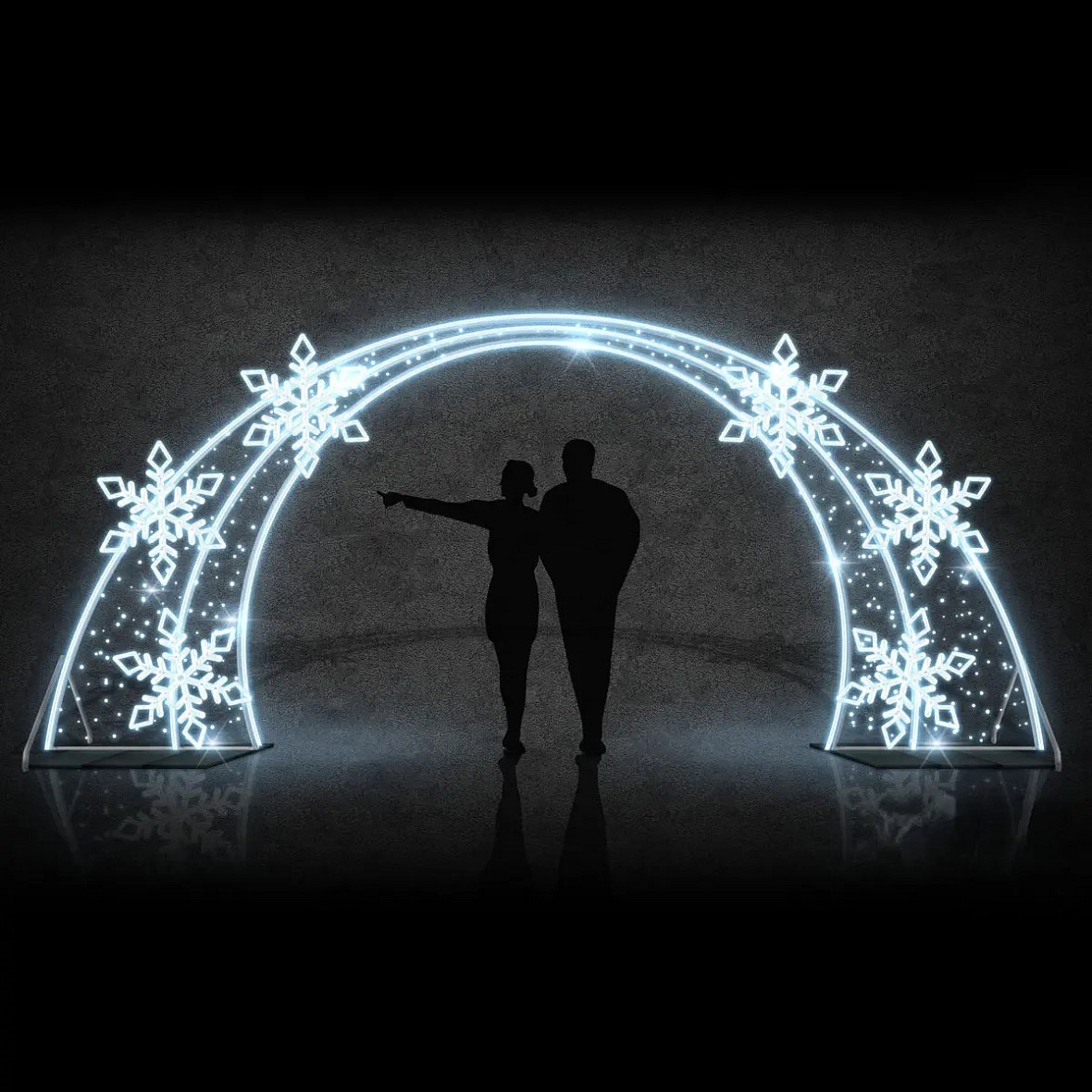 Easy Fix 2D Barrière lumineuse à LED 6 paillettes DZ107, debout, 560 × 245 cm, blanc glacier, aluminium
