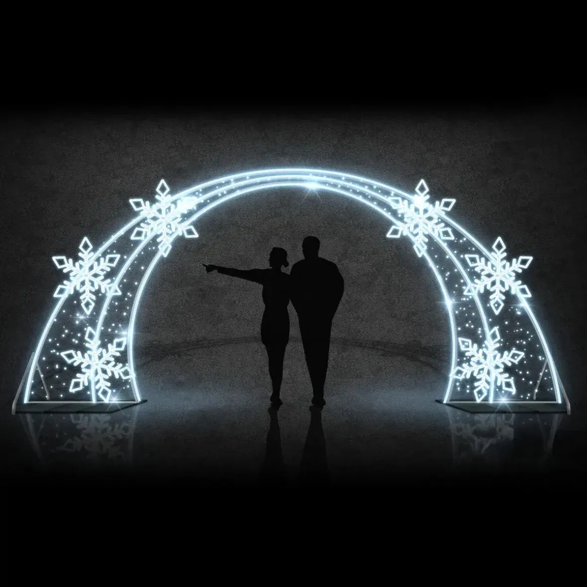 Easy Fix 2D Barrière lumineuse à LED 6 paillettes DZ107, debout, 560 × 245 cm, blanc glacier, aluminium