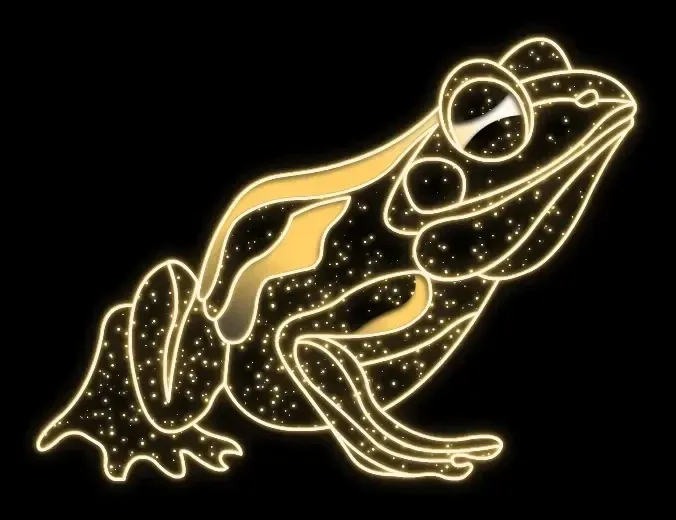Easy Fix Grenouille lumineuse LED 2D, 200 × 150 cm, blanc chaud, sur pied, impression 3D
