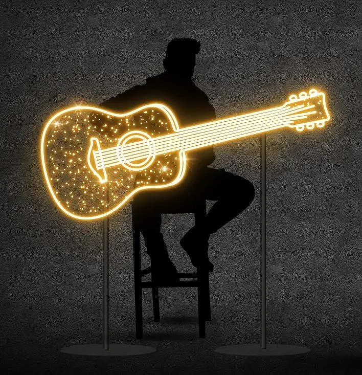Eco Fix 2D Guitare lumineuse à LED, blanc chaud, aluminium