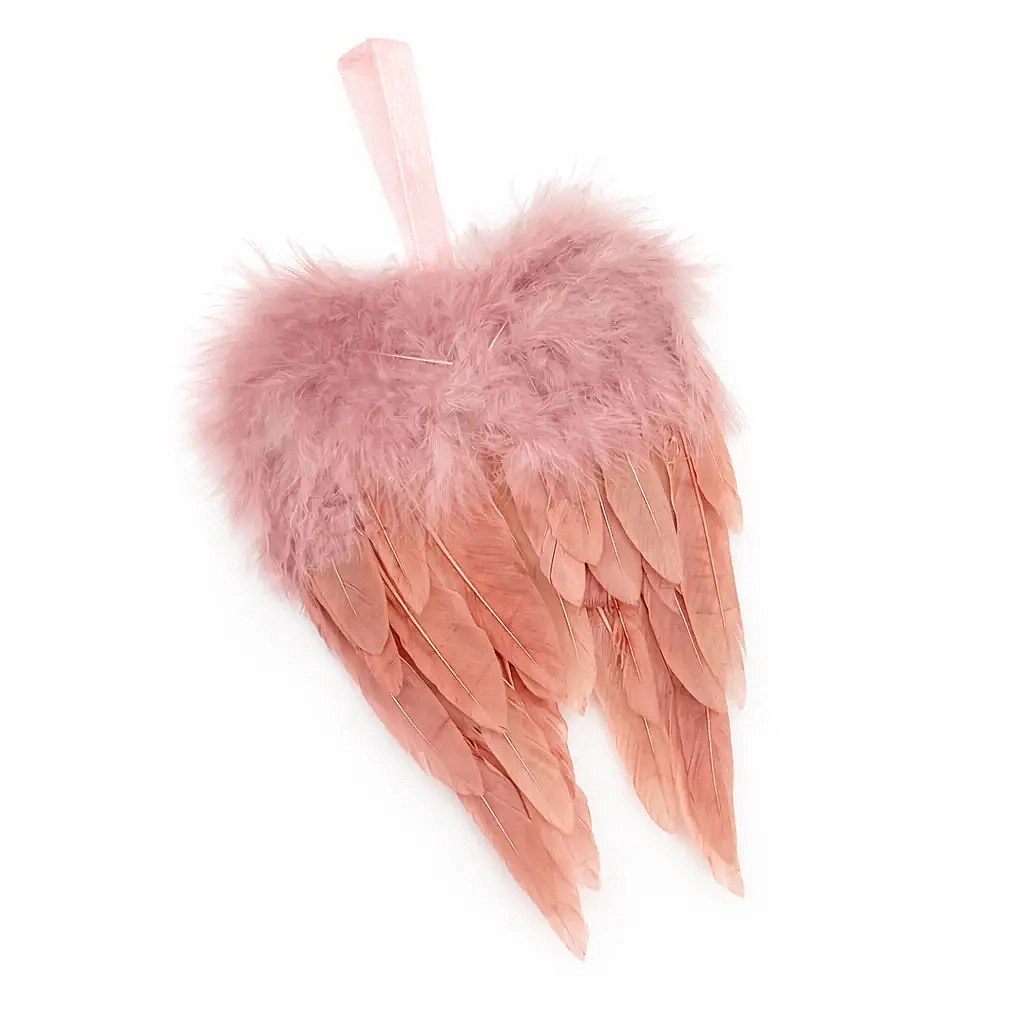 Ailes d'ange 10 × 15 cm, rose