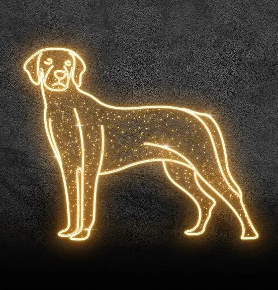 Eco Fix 2D LED chien, Pointer, suspendu, 120 × 100 × 3 cm, blanc chaud, suspendu, imprimé en 3D, doré