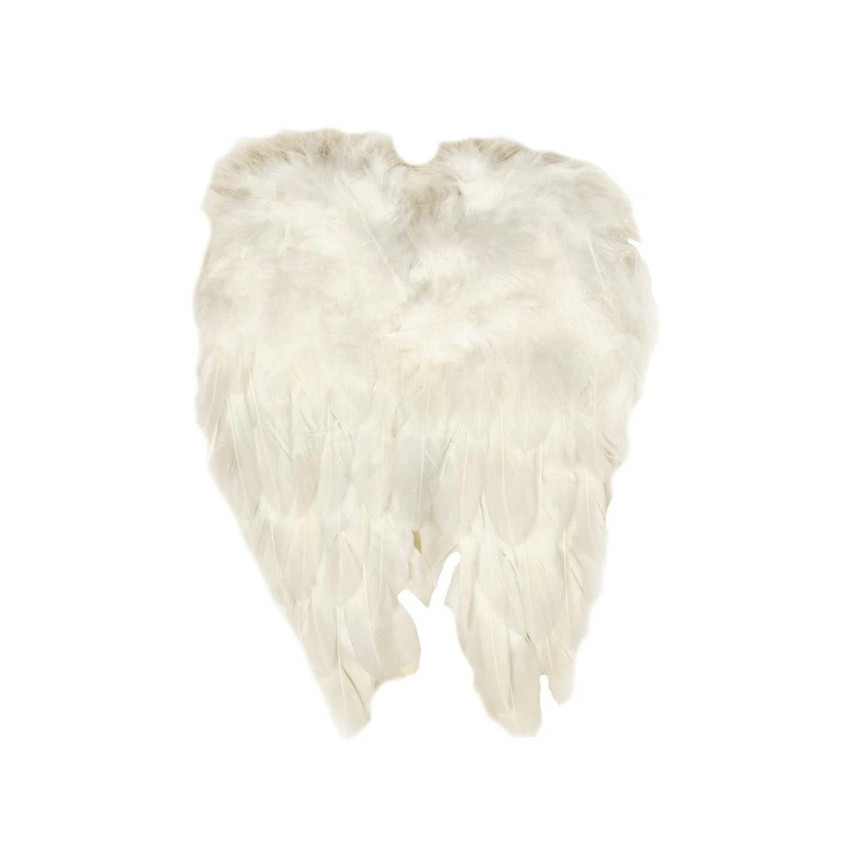 Ailes d'ange 10 × 15 cm, blanc