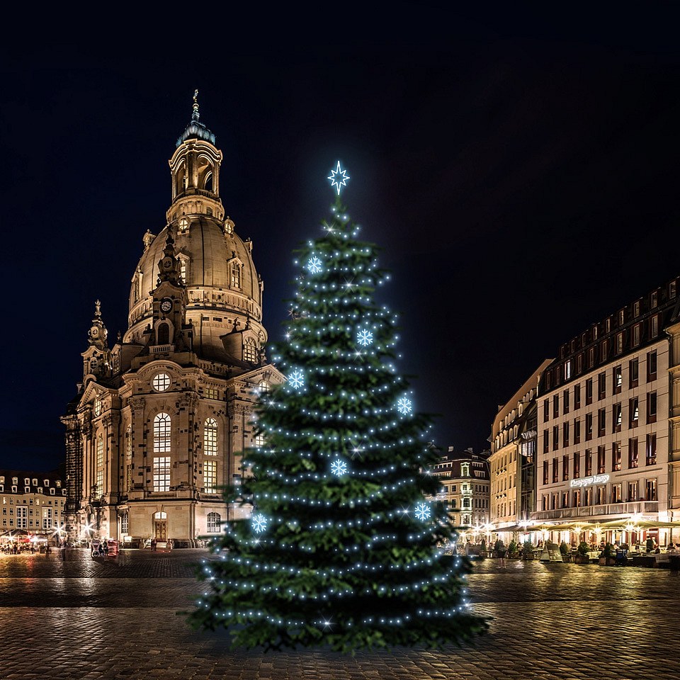 Jeu de lumières LED pour arbres de Noël 15-17 m de haut, blanc glacier avec décors EFD01